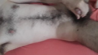 Laid back otter masturbating, shooting cum on hairy belly and chest